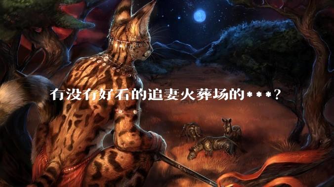 有没有好看的追妻火葬场的***？